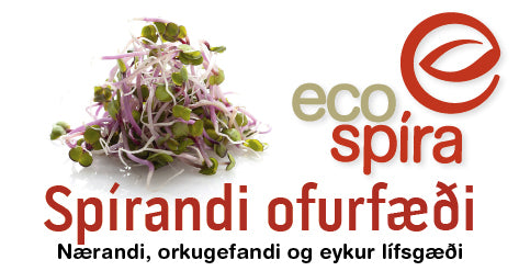 China rose radísuspírur, ferskar 250g